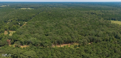 4 Oliver Rd, Haughton, LA 71037 - photo 6