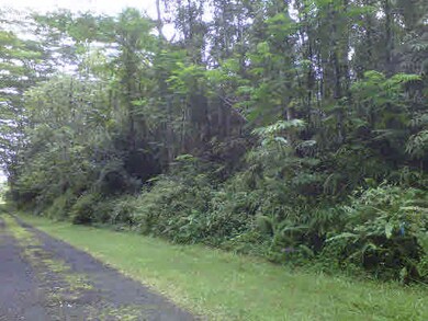 Lot on right begins in right corner (see blue flag)ends just before albezia.