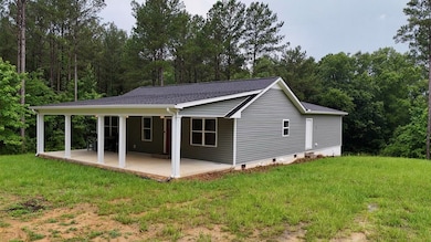 368 River Rd, Ariton, AL 36311 - photo 3