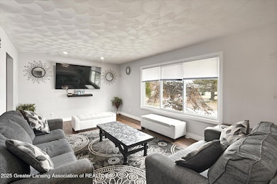 1010 Firwood St, Lansing, MI 48917 - photo 7