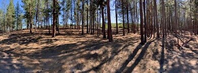 IMG_1638
