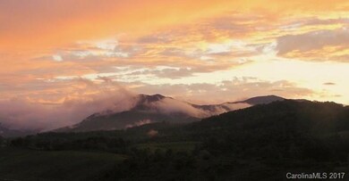 25 New Morning Place, Leicester, NC 28748 - photo 5