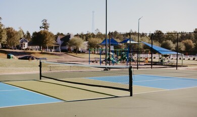 Bellegrass Pickleball Court