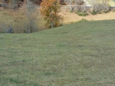 00 Old Newfound Rd, Leicester, NC 28748 - photo 3