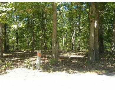 13 Drummore Dr, Bella Vista, AR 72715 - photo 4