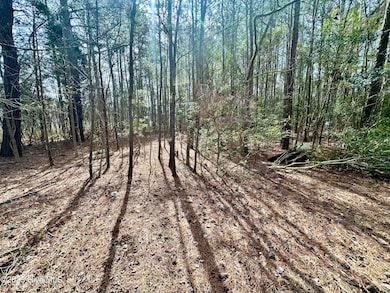 0 Pamlico Beach unit 100495750, Belhaven, NC 27810 - photo 7