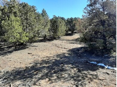Back of lot 4 looking south