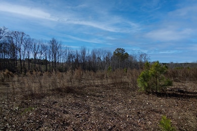 0 Chestnut Grove Rd unit 225067, Shiloh, GA 31826 - photo 4