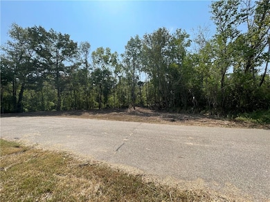 0 Swamp Rd unit 2524224, Springfield, LA 70462 - photo 6