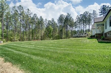 5713 Vesuvius Furnace Rd, Iron Station, NC 28080 - photo 5