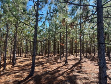 5710 Lake Robinson Rd, Hartsville, SC 29550 - photo 4