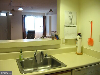 Thoreau Place Condominiums unit 425, Reston, VA 20191 - photo 7