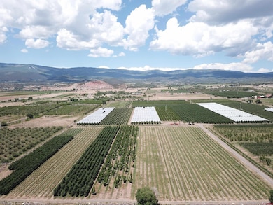 Lot 2 NW Cedar Ave, Cedaredge, CO 81413 - photo 2