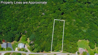 Lot 34 Talona Mountain Rd, Ellijay, GA 30536 - photo 4