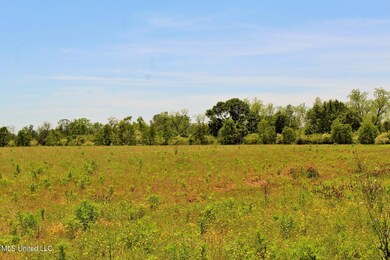 4.81ac Agricola Latonia Rd, Lucedale, MS 39452 - photo 4
