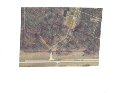 Hwy 136 Peaceful Ct, Potomac, IL 61865 - photo 5