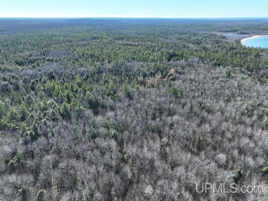 000 N Point Rd, Onota Township, MI 49806 - photo 7