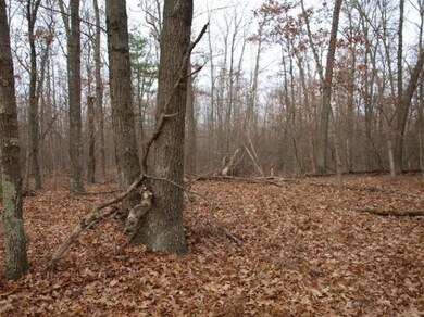 0 N Centerline Rd unit 13065638, White Cloud, MI 49349 - photo 5