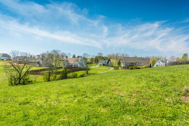 2127KingViewLoop-6
