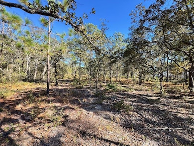 Back of lot looking towards street