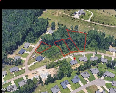 Wood Estates Google Earth Aerial View of