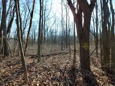 0412180957_HDR