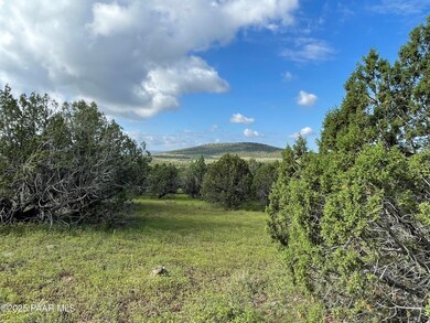 3539 Birch Ave, Kaibab Estates West, AZ 86320 - photo 3