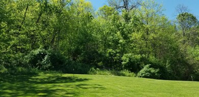 Gently sloping lot with woods to rear.