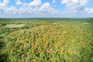 1975 Bethlehem Rd, Moscow, TN 38057 - photo 6