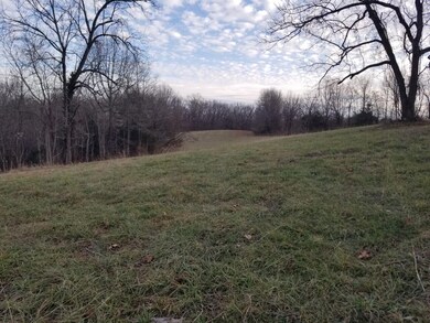 Schlessman new pic 3