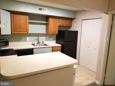 14301 Tunnel Ave unit 1B, Ocean City, MD 21842 - photo 6