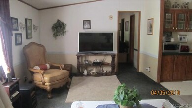 18333 SW 60th St, Dunnellon, FL 34432 - photo 4