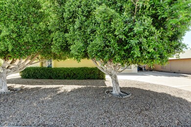 Front Landscaping 2