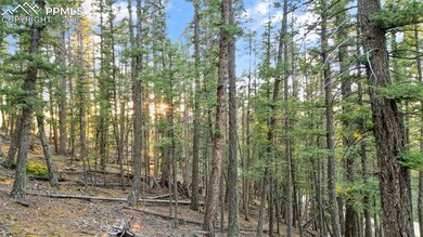 1289 Yorktown Rd, Cripple Creek, CO 80813 - photo 5