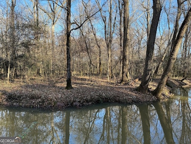36+ ACRES Wadley St, Greenville, GA 30222 - photo 2
