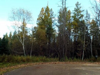 8 Acres Duck Ln, Deerbrook, WI 54424 - photo 6