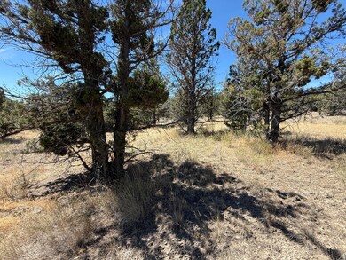10164 SE Sundown Ln, Prineville, OR 97754 - photo 7