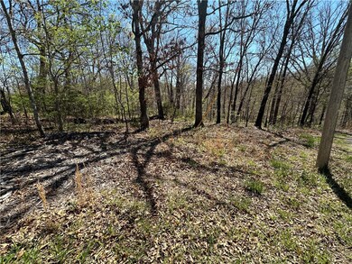 0 Diss Ln, Bella Vista, AR 72715 - photo 5