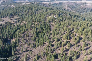 DJI_0669