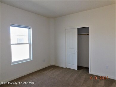 28 County Road 3791, Farmington, NM 87401 - photo 7