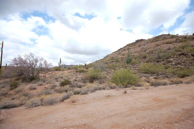 lot 3