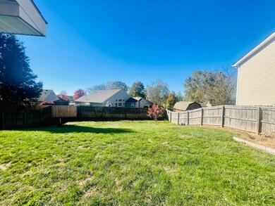 117 back yard