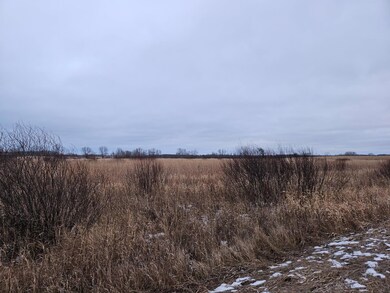 Parcel 6 Willow Rd NE, Carlos, MN 56319 - photo 4