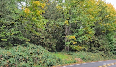 5376 Reese Hill Rd, Sumas, WA 98295 - photo 2