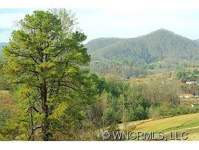 000 Watsell Dr unit 21, Leicester, NC 28748 - photo 7