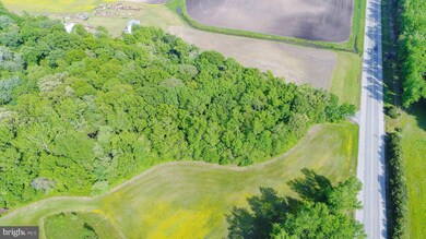 25000 Goldsboro Rd, Henderson, MD 21640 - photo 5