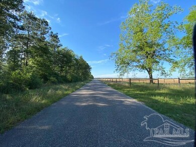 17 Bud Diamond Rd, Jay, FL 32565 - photo 3