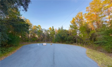 7741 N Oasis Point, Citrus Springs, FL 34433 - photo 3