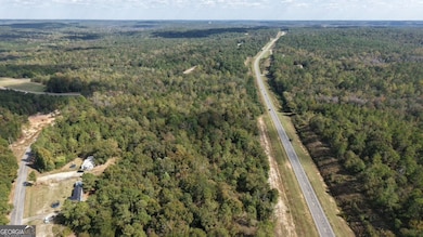 412 Georgia 137, Cusseta, GA 31805 - photo 2