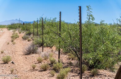 rustictrail-6